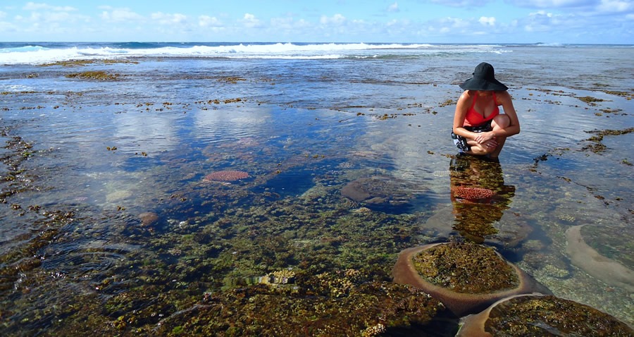 Barefoot Luxury: Why an Eco-Friendly Romantic Getaway in Vanuatu is the Ultimate Escape