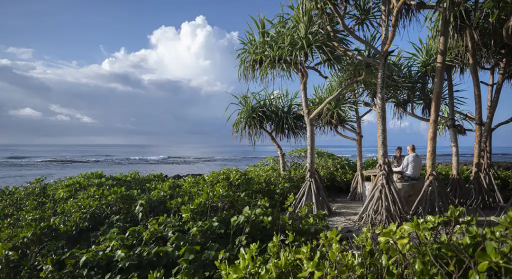 Barefoot and Blissful: Why Your Best Vanuatu Memories Happen Without Shoes